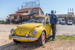 Israel Käfer 300x200