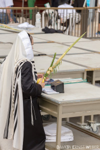 Jerusalem Sukkot Rabbi Jude 200x300