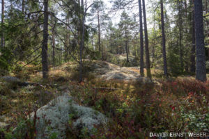 01 Schweden 18 300x200