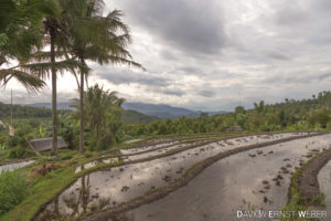 04 Indonesien 07 300x200