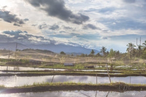 04 Indonesien 08 300x200