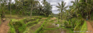 04 Indonesien 24 300x106