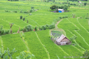 04 Indonesien 30 300x200