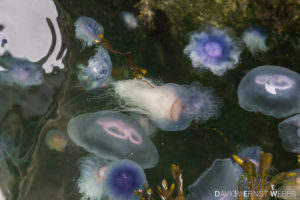 09 Helgoland 05 300x200
