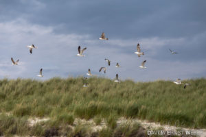 09 Helgoland 08 300x200