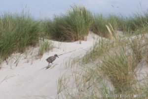 09 Helgoland 11 300x200