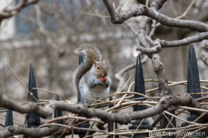 11 London 24 300x200