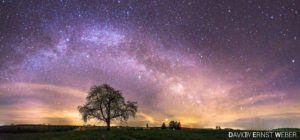 Baum Vor Milchstraße 300x140