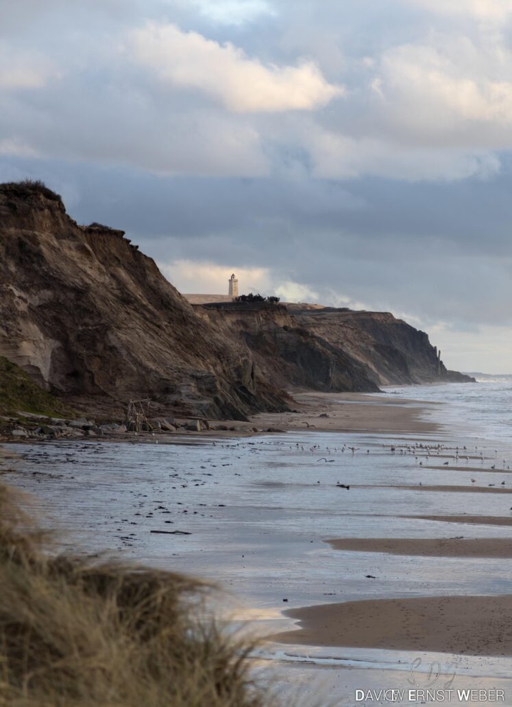 2023 03 26 img 4505 david ernst weber