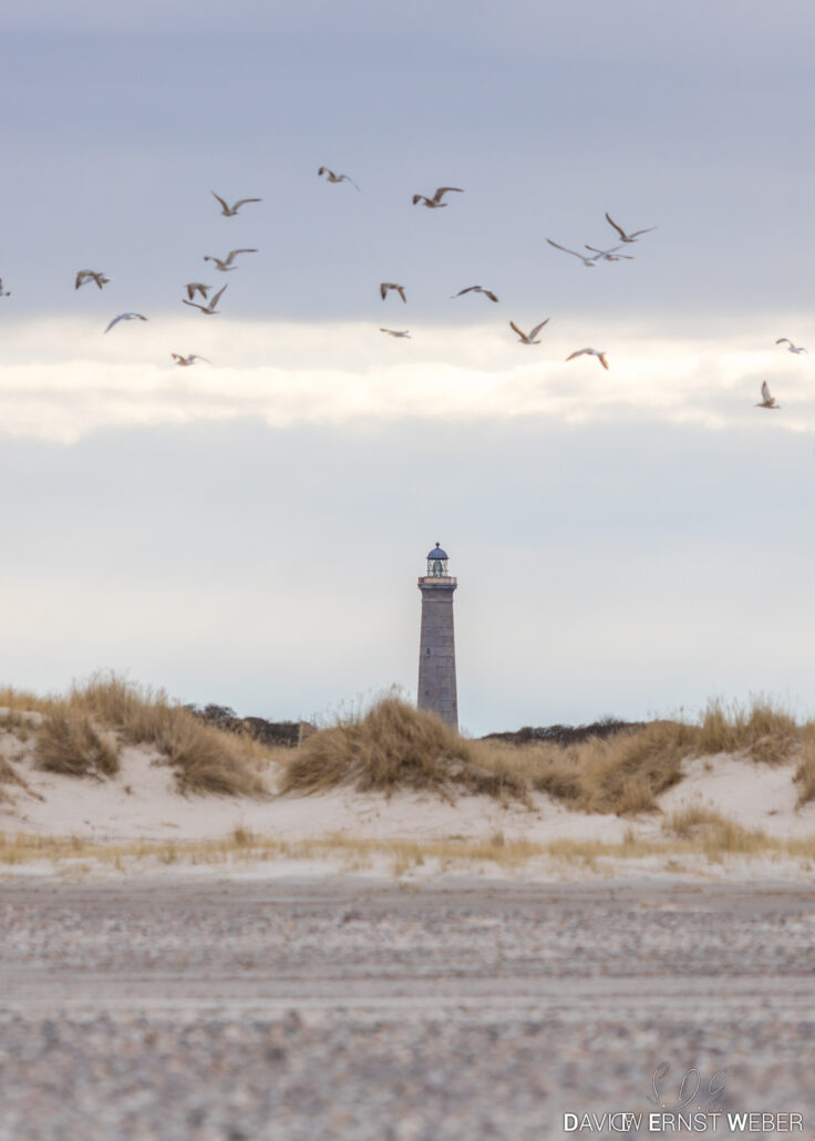 2023 03 28 img 4569 david ernst weber