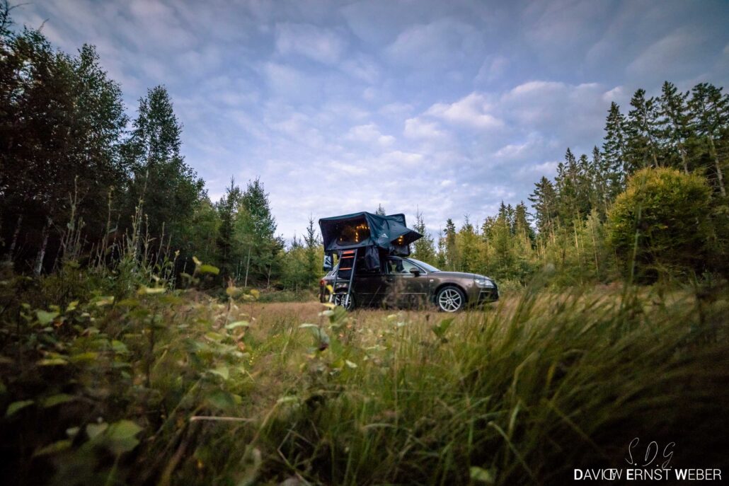 2023 08 16 img 9436 david ernst weber