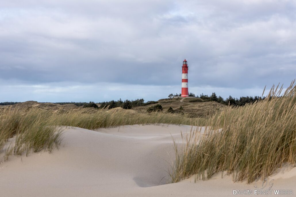 2023 10 16 img 9743 david ernst weber